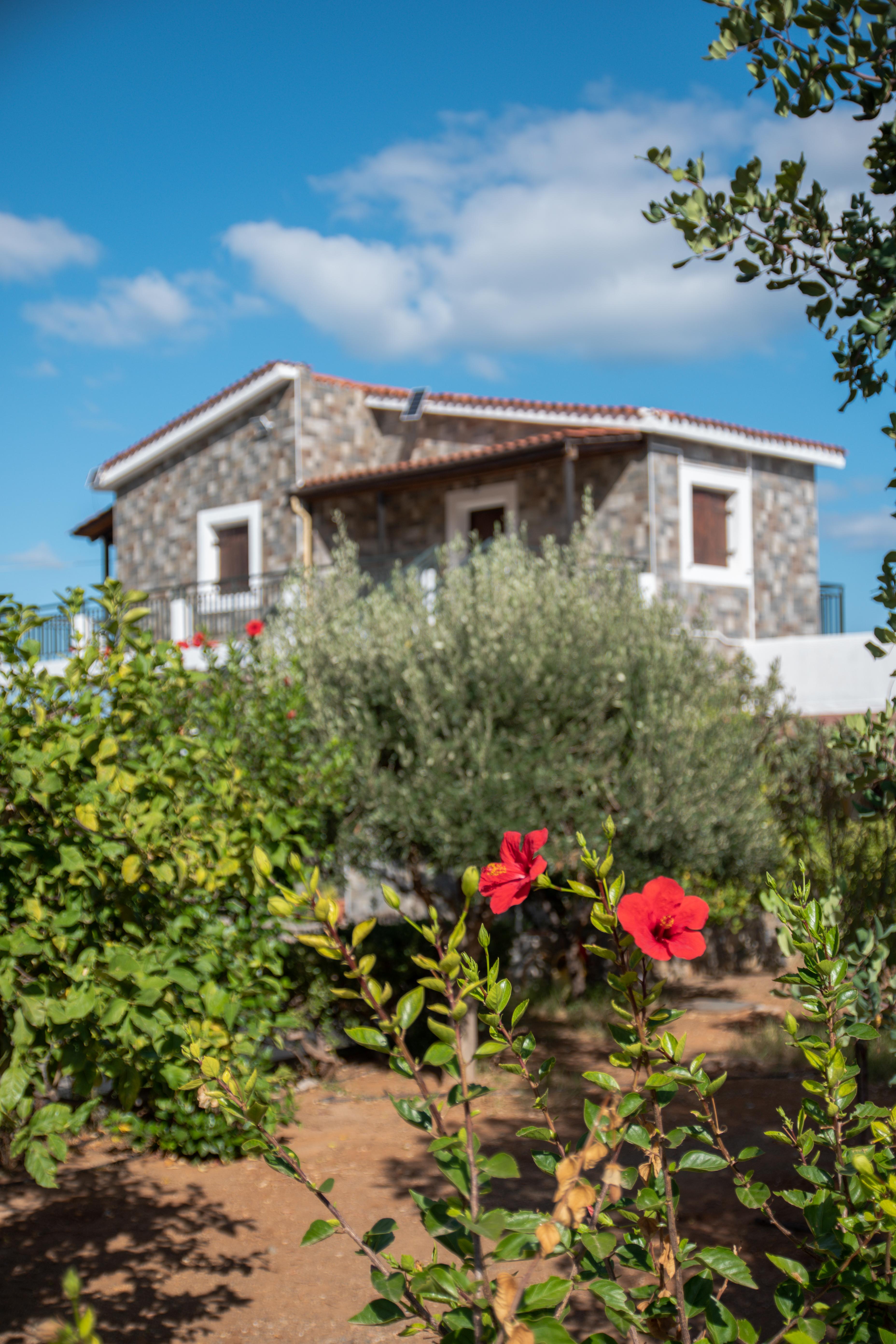 Villa Medusa Hersonissos  Exterior foto